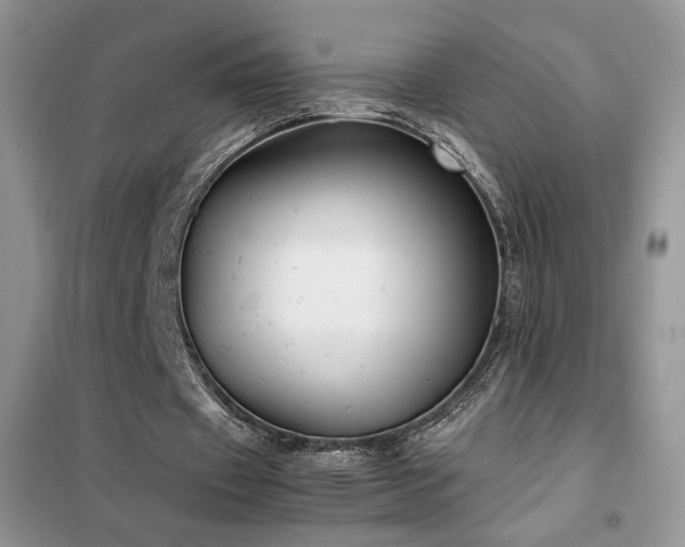 X0000102340433200808011144