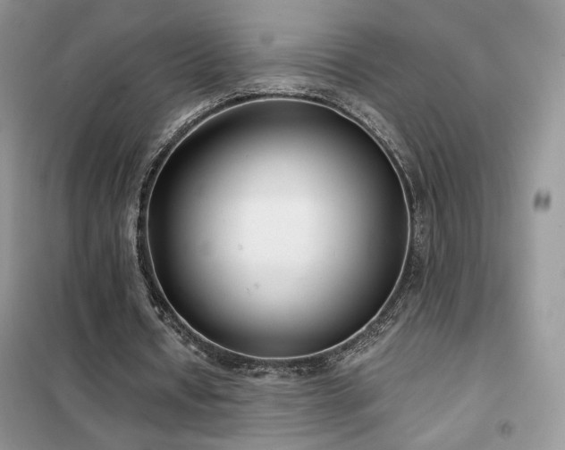 X0000102340434200808011144