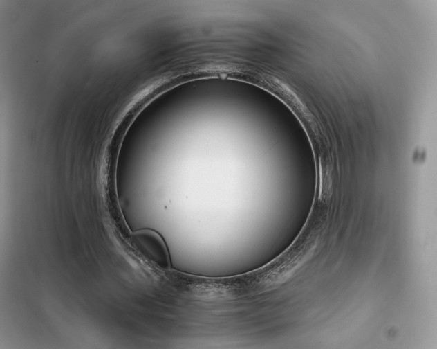 X0000102340435200808011144