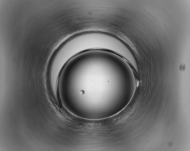 X0000102340436200808011144