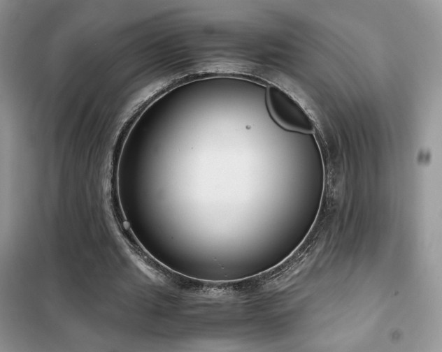 X0000102340437200808011144