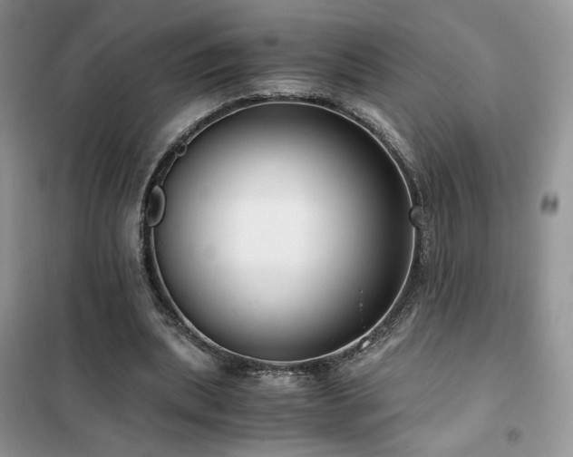 X0000102340439200808011144