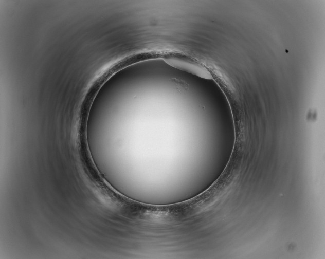 X0000102340440200808011144