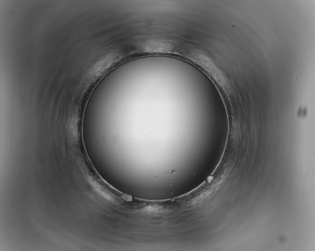 X0000102340441200808011144