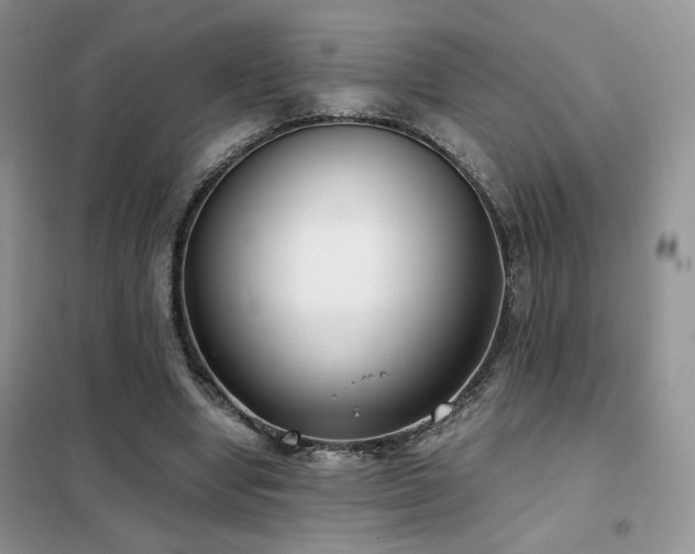 X0000102340442200808011144