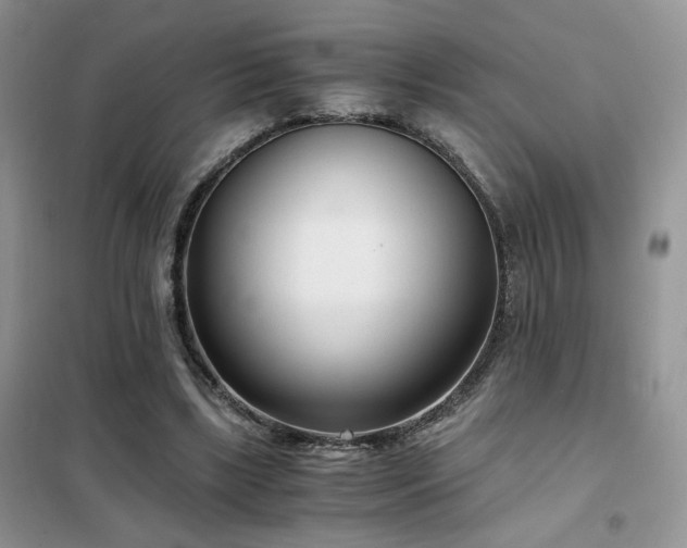 X0000102340443200808011144