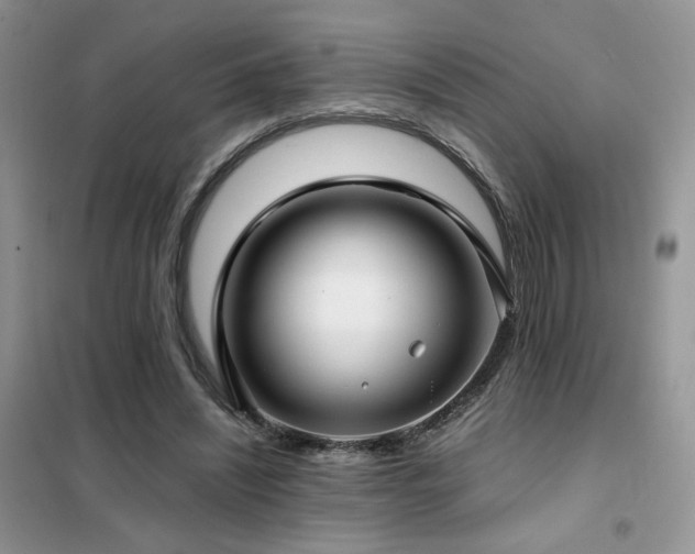 X0000102340444200808011144