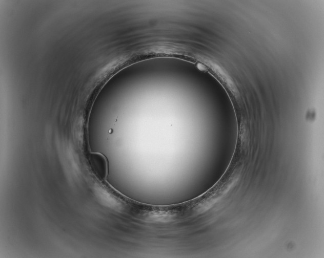 X0000102340445200808011144