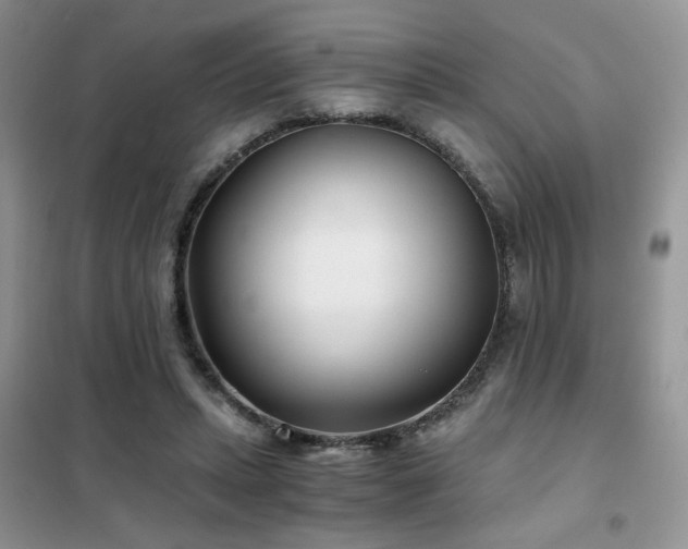 X0000102340447200808011144