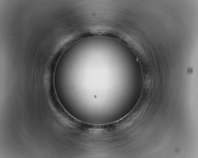 X0000102340448200808011144