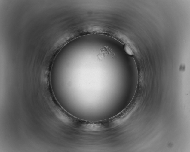 X0000102340449200808011144