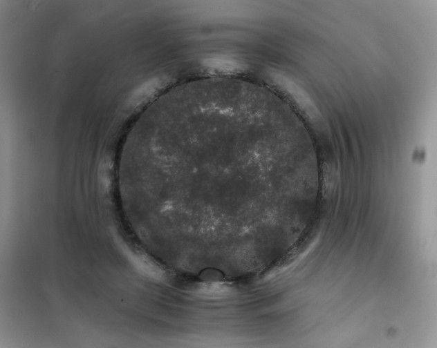 X0000102340451200808011144