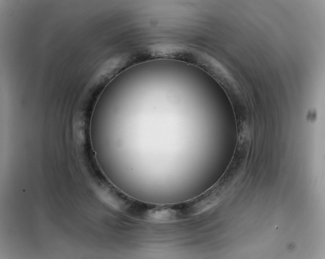 X0000102340452200808011144