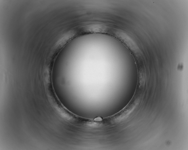 X0000102340453200808011144