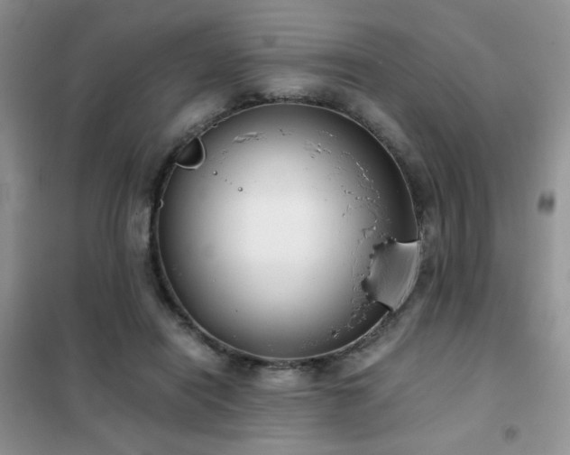 X0000102340454200808011144