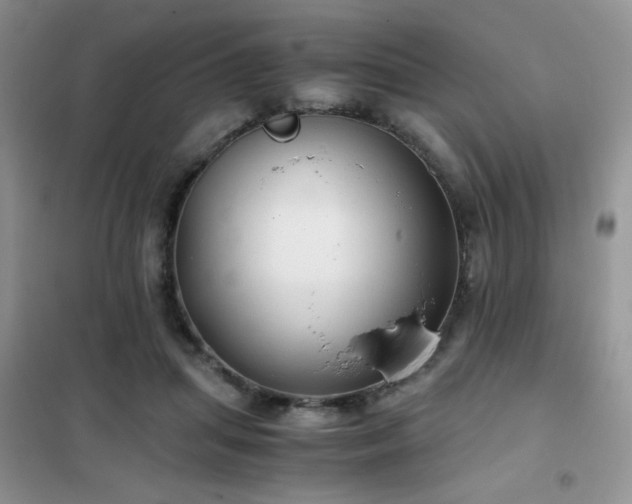 X0000102340455200808011144