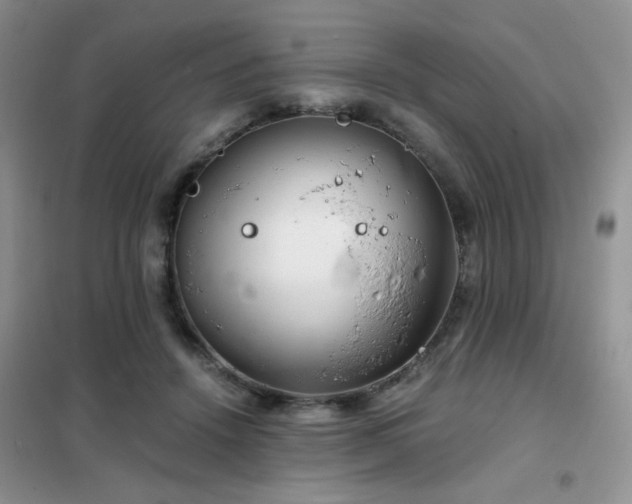 X0000102340456200808011144