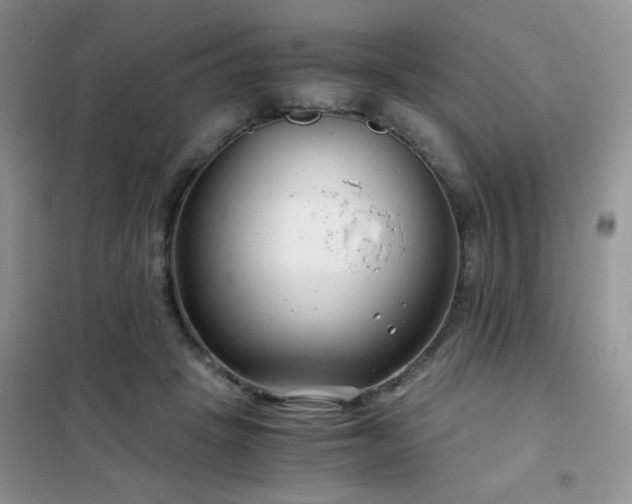 X0000102340457200808011144