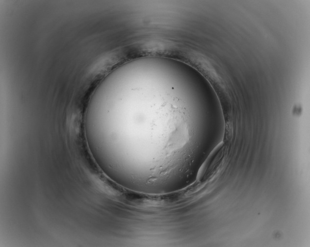 X0000102340458200808011144