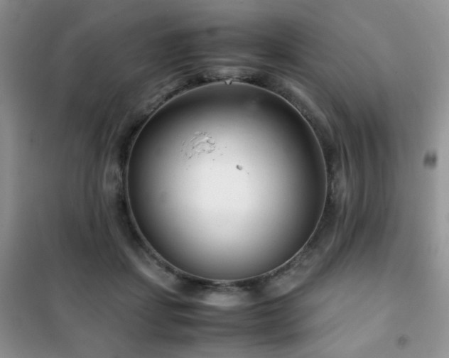 X0000102340459200808011144