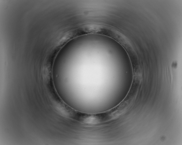 X0000102340460200808011144