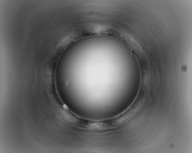 X0000102340461200808011144