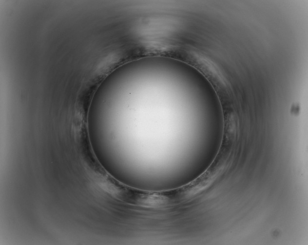 X0000102340463200808011144