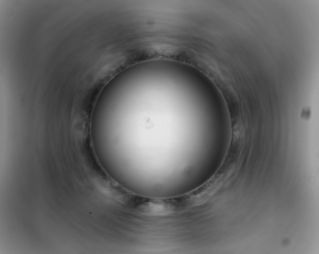 X0000102340464200808011144