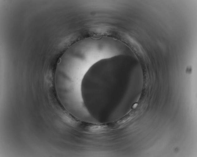 X0000102340465200808011144