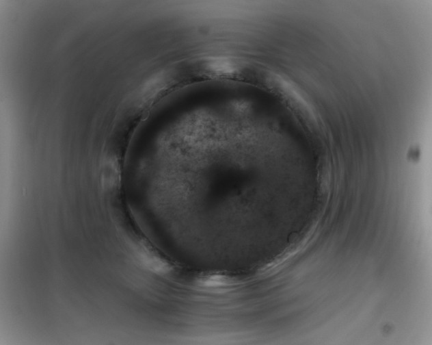 X0000102340467200808011145