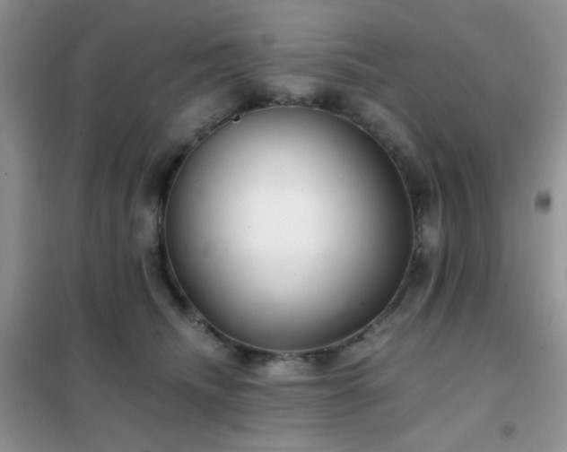 X0000102340468200808011145