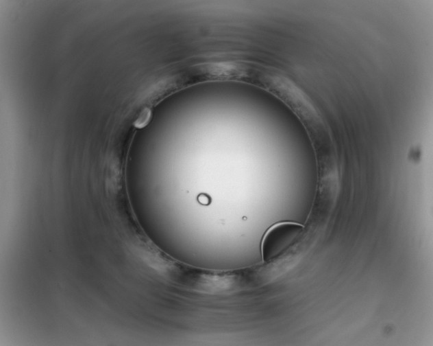 X0000102340469200808011145