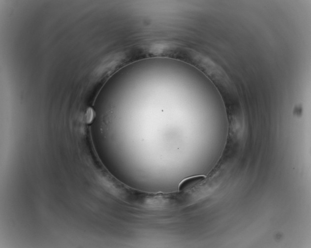 X0000102340470200808011145