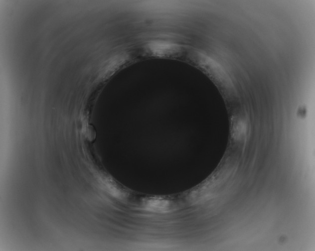 X0000102340471200808011145