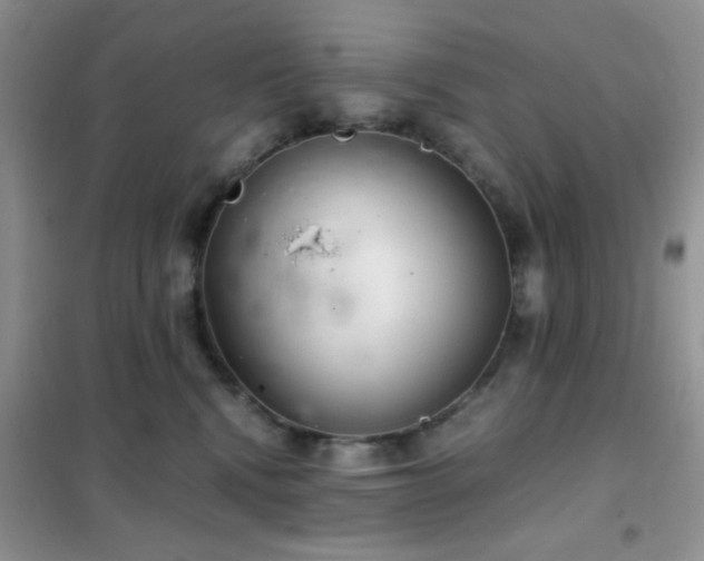 X0000102340472200808011145