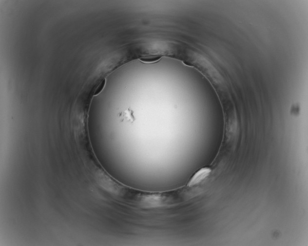 X0000102340473200808011145