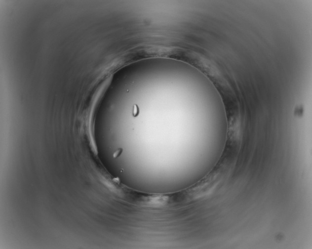 X0000102340474200808011145