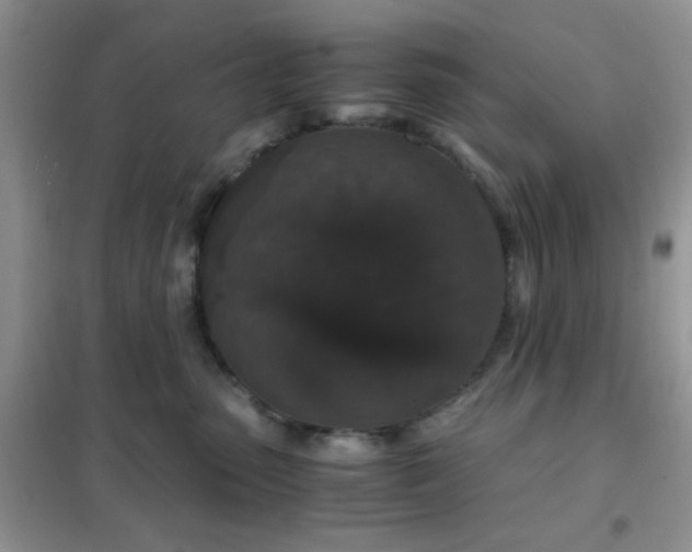 X0000102340475200808011145