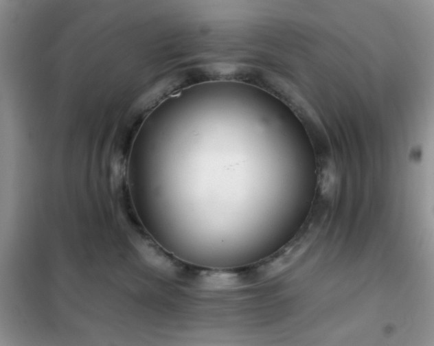 X0000102340476200808011145