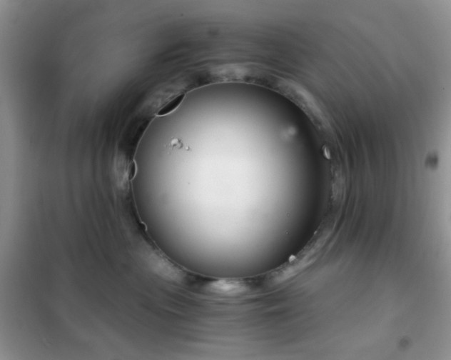 X0000102340477200808011145