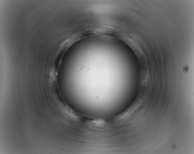 X0000102340478200808011145