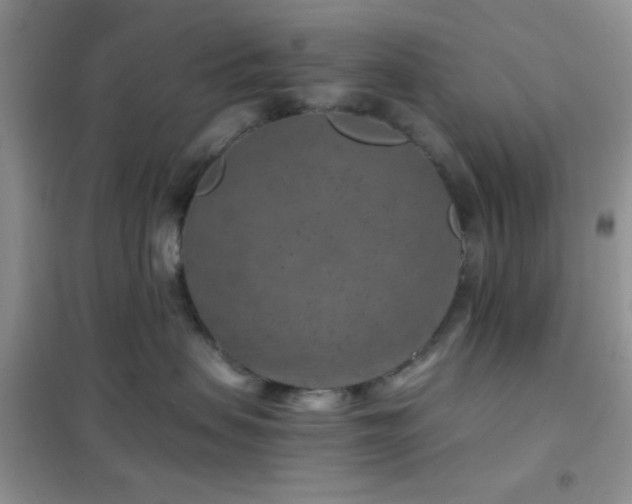 X0000102340479200808011145