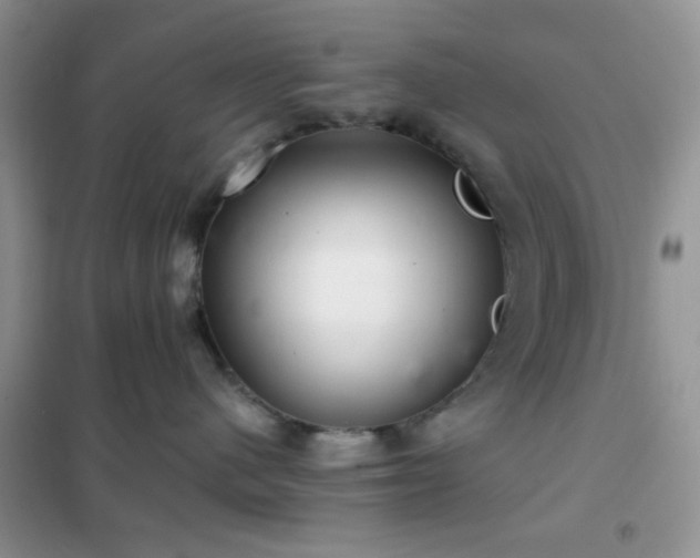 X0000102340480200808011145