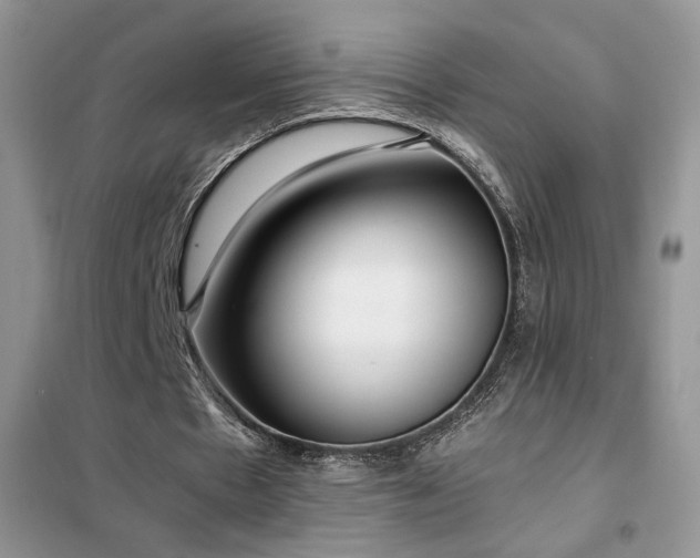 X0000102340481200808011144