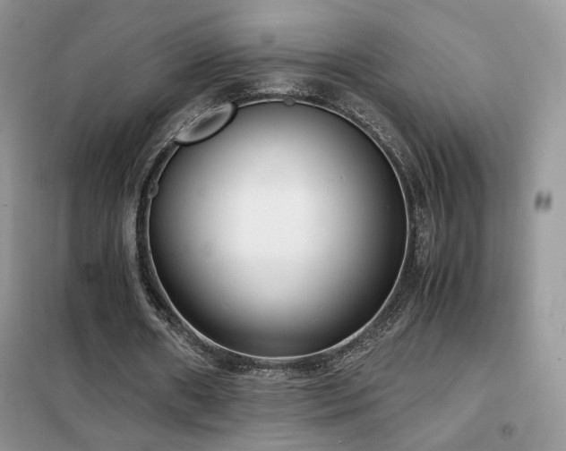 X0000102340482200808011144