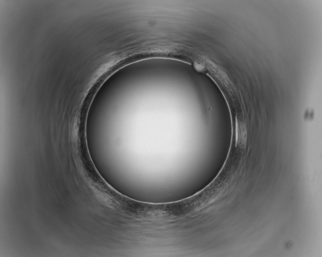 X0000102340483200808011144