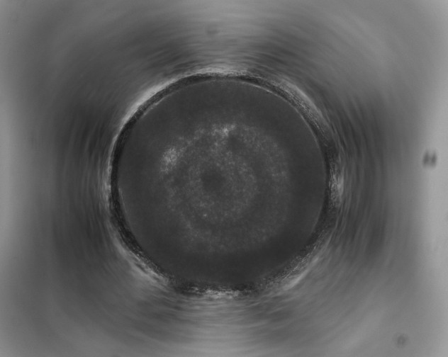 X0000102340484200808011144