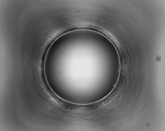 X0000102340485200808011144