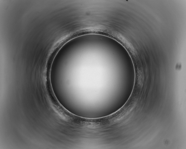 X0000102340486200808011144