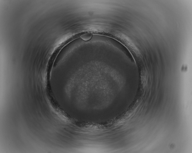 X0000102340488200808011144